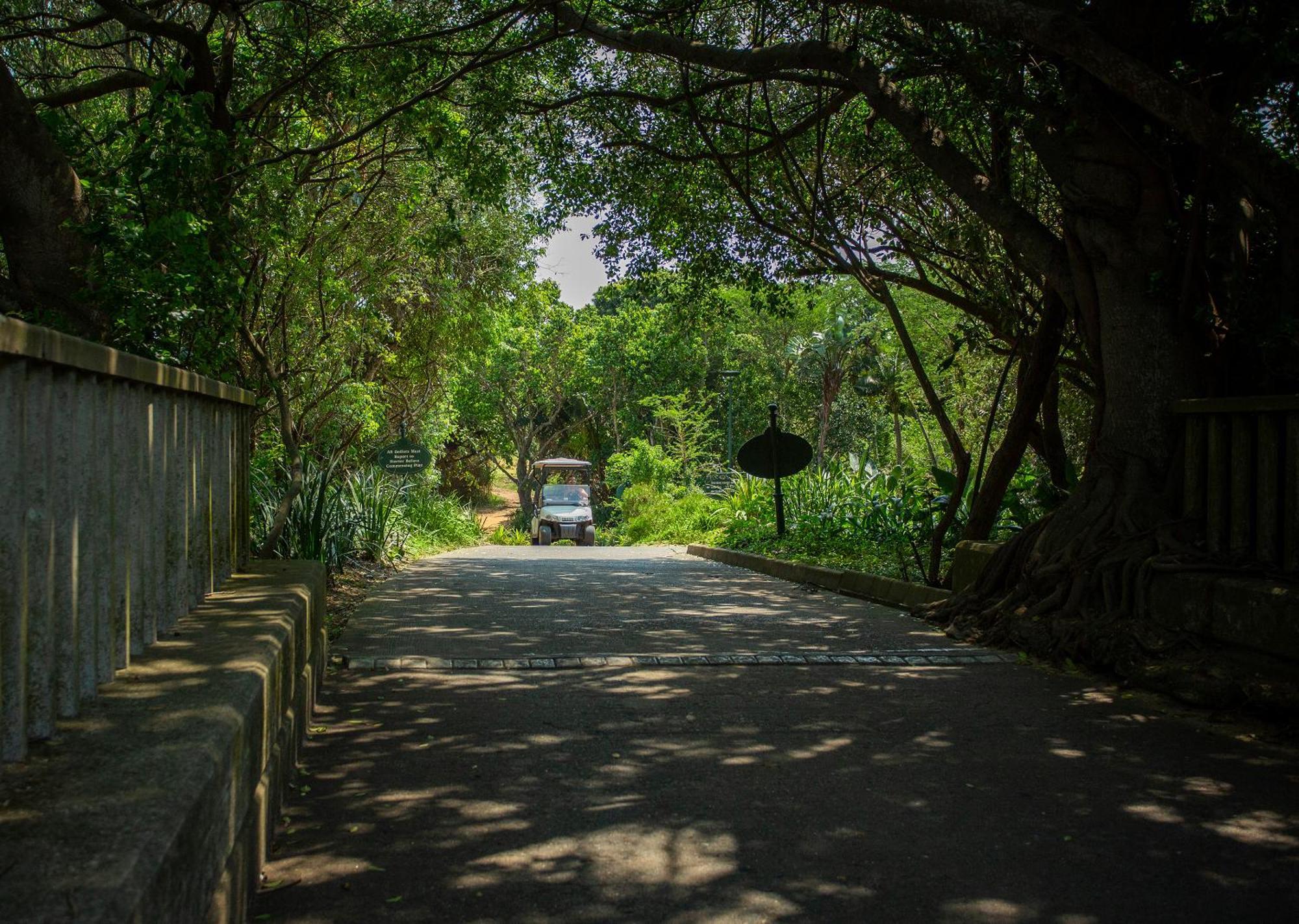 Zimbali Lodge By Dream Resorts Umhlali Ngoại thất bức ảnh